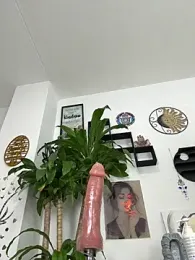 jamilaross stripchat stream image, 19.09.2025 20:30