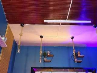 lady-brownn camsoda stream image, 22.09.2025 12:00