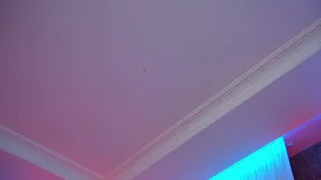 eva_fashionista stripchat stream image