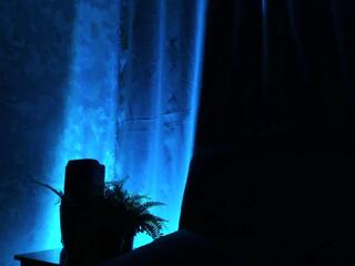 Shaya Asian flirt4free stream image