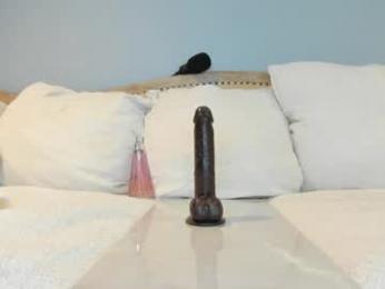 eatmygingersnapps chaturbate stream image