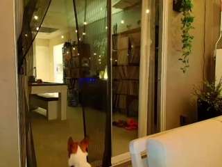 starryari69 camsoda stream image, 08.10.2025 02:10
