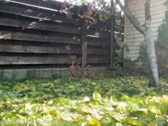 patry333 chaturbate stream image, 23.10.2025 05:40