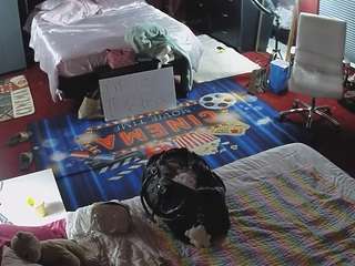voyeurcam-baileybase-room camsoda stream image, 19.02.2025 19:20