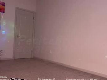 petitebrat chaturbate stream image, 31.10.2025 20:50