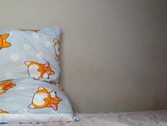 JustAlice bongacams stream image, 20.11.2025 18:00