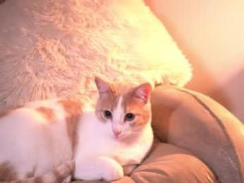 _andyy__ chaturbate stream image, 27.11.2025 05:40