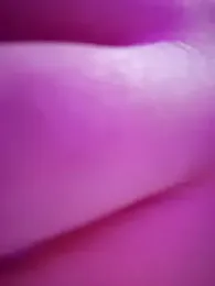 _arabica_ stripchat stream image, 02.12.2025 06:00