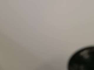 nina-rose camsoda stream image, 09.12.2025 16:20