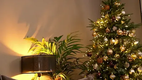 _keeti_ stripchat stream image