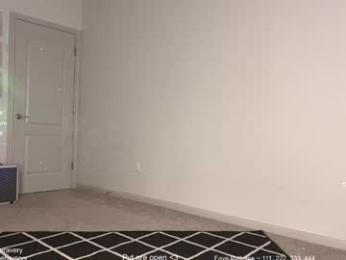 petitebrat chaturbate stream image, 22.12.2025 19:40