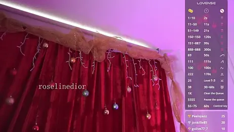 roselinedior stripchat stream image, 31.12.2025 17:00