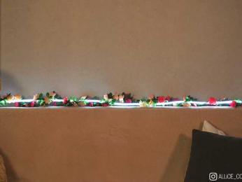 AliceCost bongacams stream image, 16.01.2026 22:20