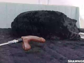 shawn-geni camsoda stream image, 17.01.2026 21:50