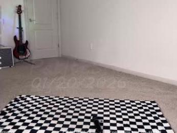 petitebrat chaturbate stream image, 20.01.2026 17:50