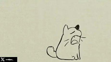 zoneboys stripchat stream image