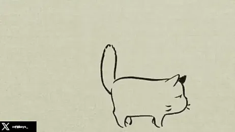 zoneboys stripchat stream image