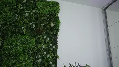 amiraroshen stripchat stream image