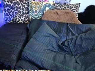 sofianiix camsoda stream image, 01.02.2026 09:40