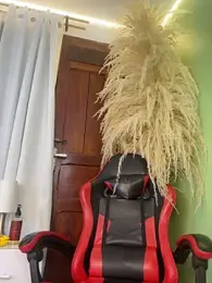 Robin_Rief stripchat stream image, 03.02.2026 03:40