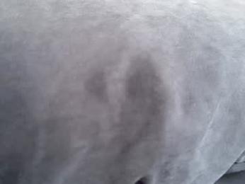 quantum_heart chaturbate stream image, 04.02.2026 11:50
