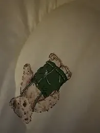 dvoi stripchat stream image