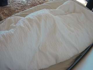 voyeurcam-julmodels-whitebed-4 camsoda stream image, 22.02.2026 00:00