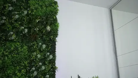 amiraroshen stripchat stream image