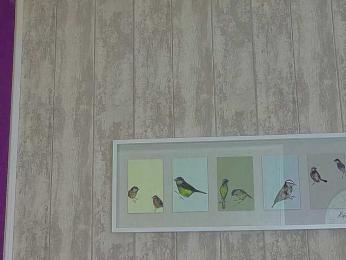 XKimoraX bongacams stream image