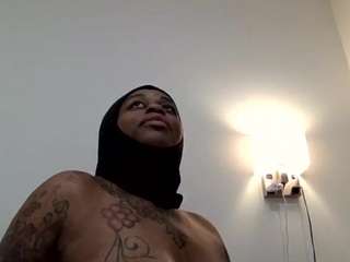 stalliontheesavage camsoda stream image