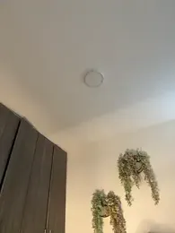 valeria2019hot stripchat stream image