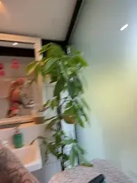 Stella-Kink stripchat stream image