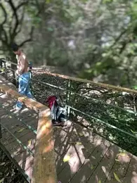 yoursexyjose stripchat stream image