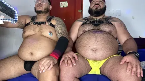 Bearspigdirty stripchat stream image