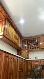 Arilw stripchat stream image