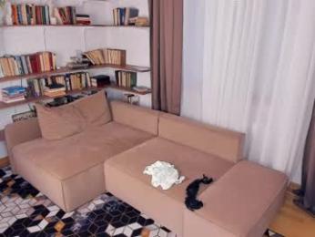 angelinahass chaturbate stream image, 30.03.2026 08:30