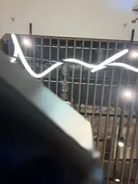 Holly_Play stripchat stream image