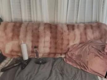 ava_west chaturbate stream image