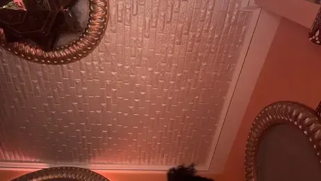 ORLA86 stripchat stream image, 08.03.2025 19:50