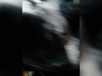 Cocochanell bongacams stream image, 26.04.2026 07:40