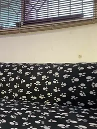 cody_fox10 stripchat stream image, 11.05.2026 14:20