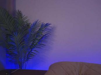 Karollovea bongacams stream image, 13.05.2026 08:40