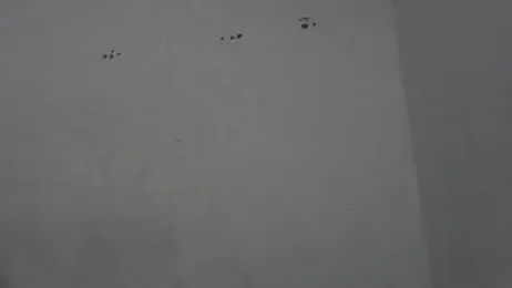 thasmyni stripchat stream image