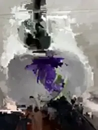 TavoHot_ stripchat stream image, 23.06.2026 18:30