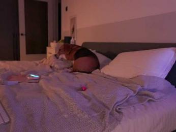 emmsee bongacams stream image, 05.07.2026 17:50