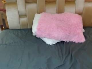 diosaxsexyy camsoda stream image, 12.03.2025 14:30