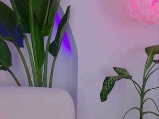 kali-hill camsoda stream image, 13.03.2025 09:50