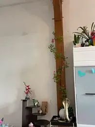 Daisy_Michto_Officiel stripchat stream image