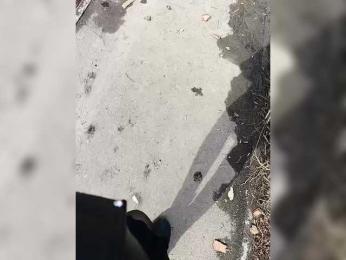 Angelia22 bongacams stream image