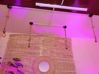 lady-brownn camsoda stream image, 17.03.2025 12:00